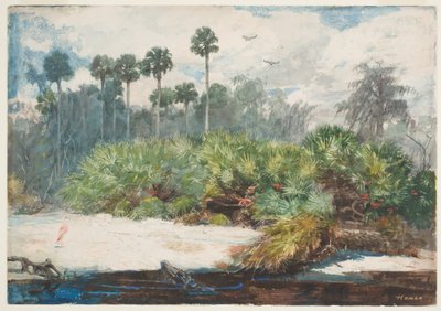 In a Florida Jungle by Winslow Homer